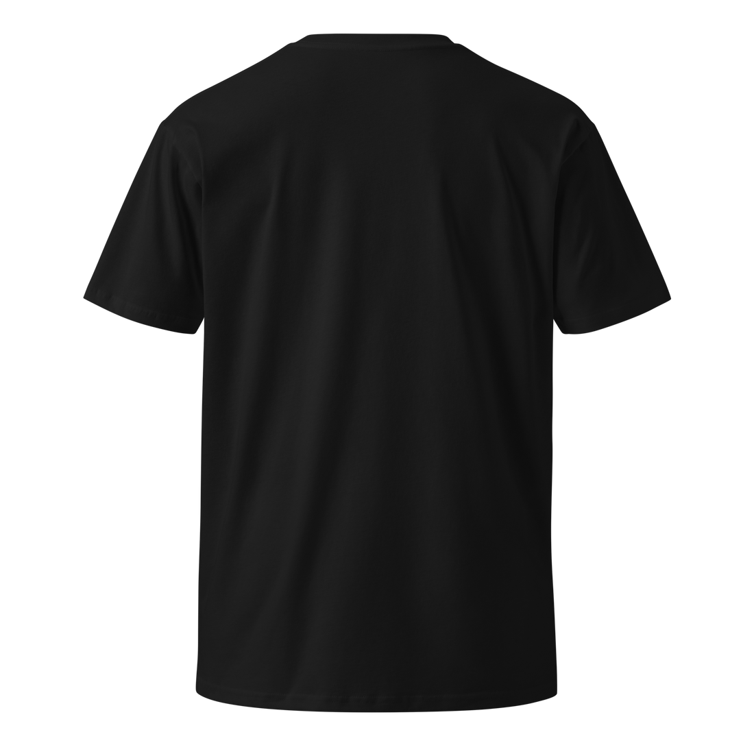 Chrysalis Graphic Tee back, black AS Colour staple tee, The Merch Guild