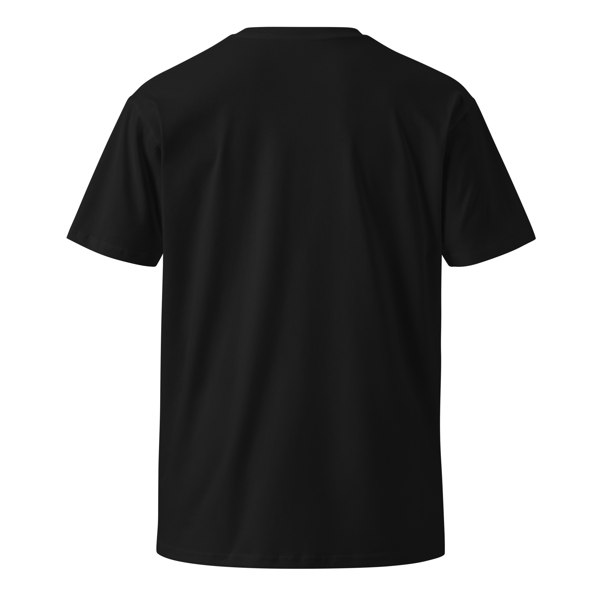Chrysalis Graphic Tee back, black AS Colour staple tee, The Merch Guild